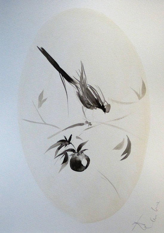 photo de dessin
