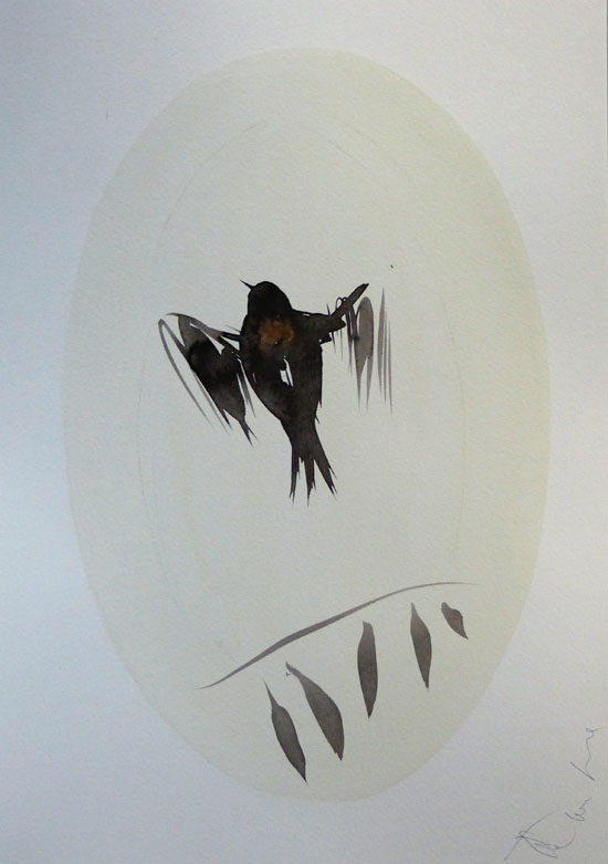 photo de dessin