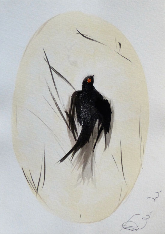 photo de dessin