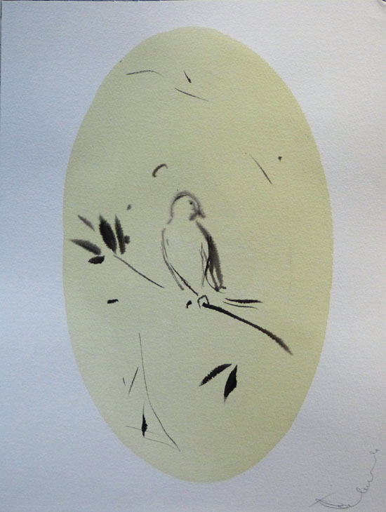 photo de dessin