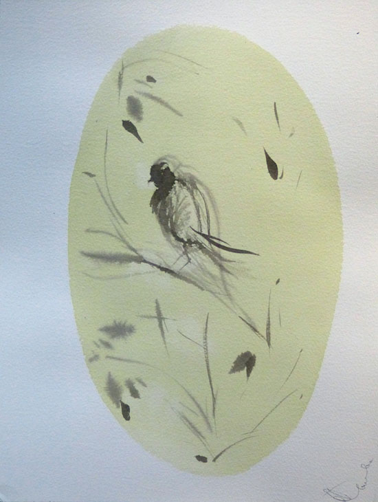 photo de dessin