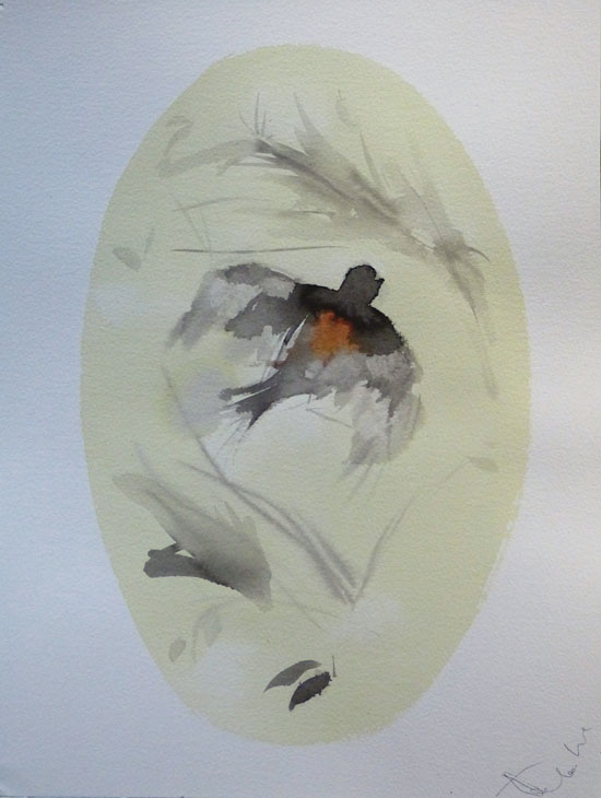 photo de dessin