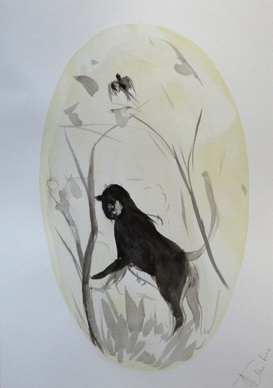 photo de dessin