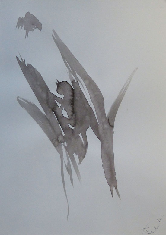 photo de dessin