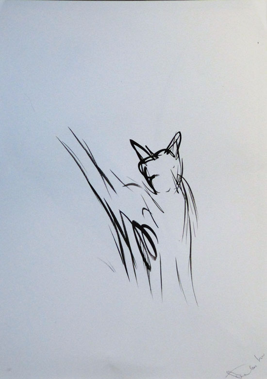 photo de dessin