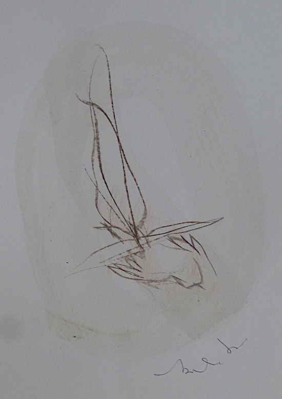 photo de dessin